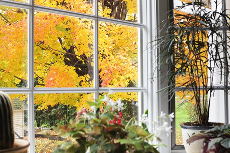 5 Tips to Improve Your Indoor Air Quality This Fall. Photo of a window in a living room or kitchen, looking outside to an autumn view.