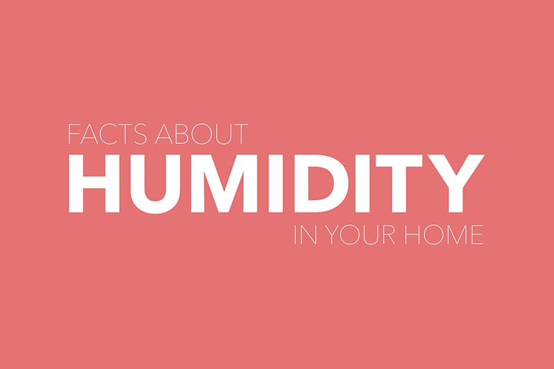 facts about humidity in your home.